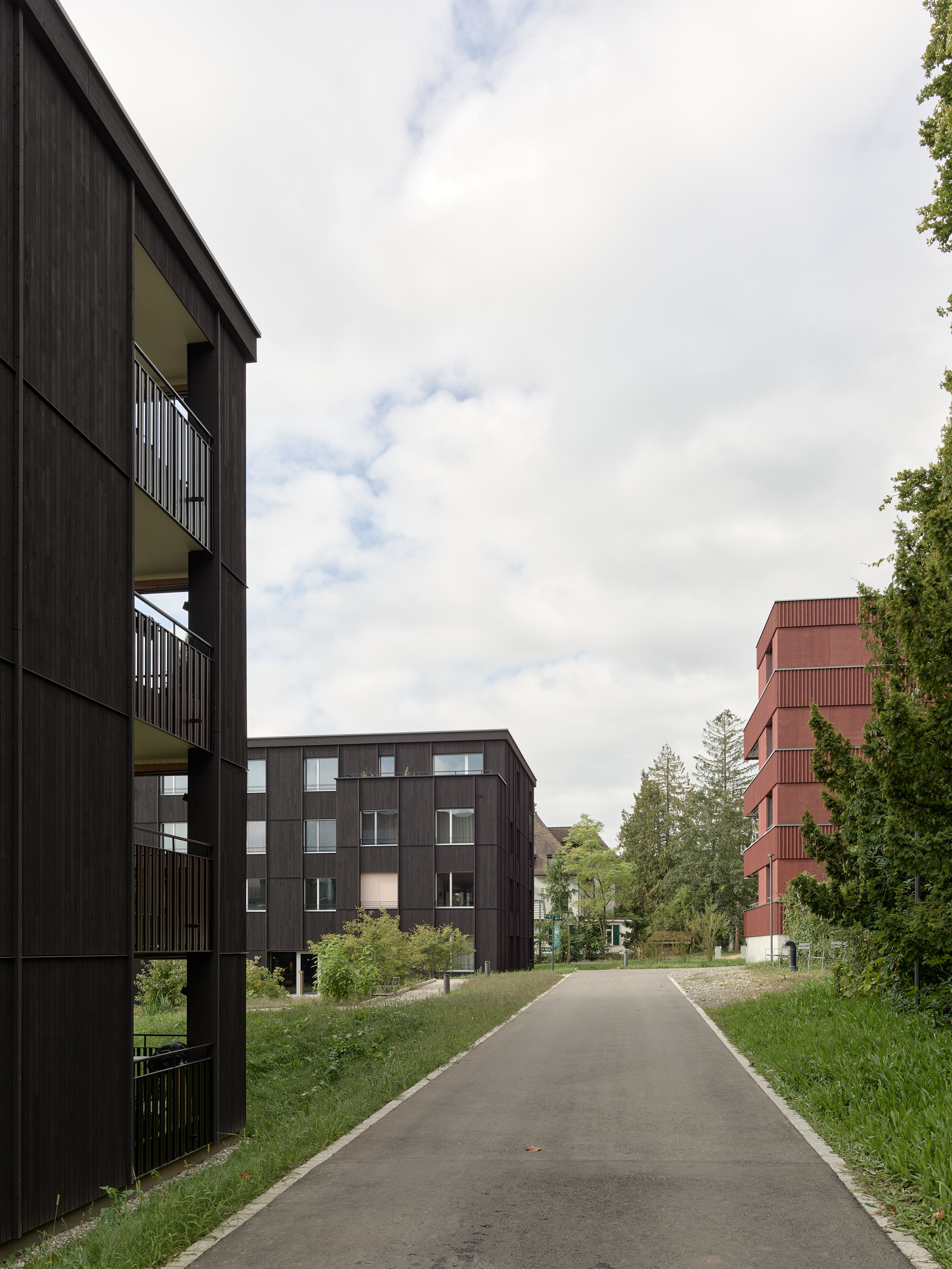 ahp0106 · Baumschulareal Kuettingen